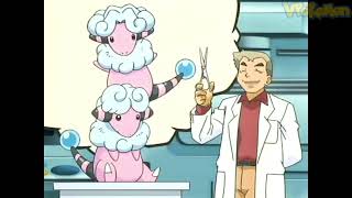 Flaaffy attacks Professor Oak  Professor Oak Funny Moments [upl. by Enetsirhc382]