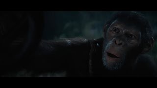 La Planète des Singes Le Nouveau Royaume film complet 2024 Film Comédie streaming vf [upl. by Eedahs]