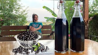 Refreshing Aronia Berry Chokeberry Antioxidant Syrup [upl. by Dix]