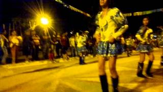 CARNAVAL 2014 CAIMANCITO JUJUY [upl. by Kirimia682]