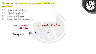 Glucose becomes lactic acid in our skeletal muscles is an example of a biosynthetic pathway b [upl. by Cia]