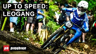 Everything You Need To Know Going Into Round 3 Of World Cup DH Racing  Up To Speed Leogang [upl. by Rosenzweig]