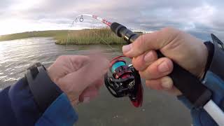 Nanticoke Fishing Oct 2020 Striped Bass [upl. by Sivehc]