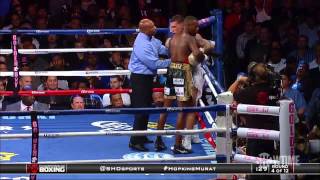 Peter Quillin vs Gabriel Rosado Full Length Fight HD [upl. by Etteiluj]