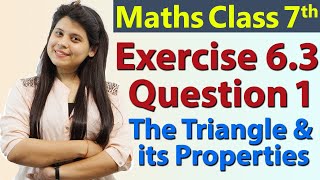 Q 1 Ex 63  The Triangle and its Properties  Chapter 6  Maths Class 7th  NCERT [upl. by Greenland]