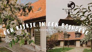 Efteling Bosrijk Een kijkje in een boshoeve 12persoons huisje [upl. by Inavoy]