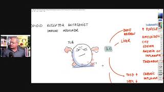 Low Dose Naltrexone LDN  Mechanism of Action [upl. by Jaine]