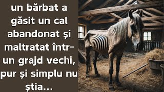 foștii proprietari ai calului lau abandonat pentru că era inutil [upl. by Ennaillij]