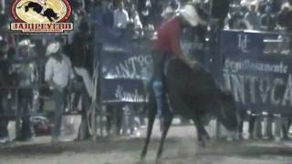 ¡¡PORRAZO Raton de Morelia vs El Gorila de Rancho El Canelo [upl. by Naryk]