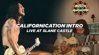 RHCP  Californication Intro Live At Slane Castle Guitar Cover [upl. by Aissela425]