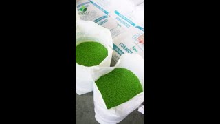 Material preparation for artificial landscape grass including dyeing adding UV stabilizers [upl. by Einotna92]