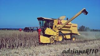 New Holland TX34 [upl. by Chancey]