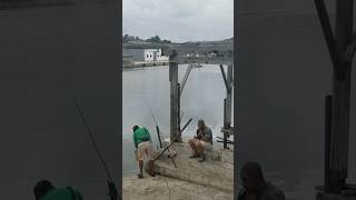 Pescadores en el puente de hierro en el vedado La Habana CUBA 2024 Actualidad CUBA de Hoy [upl. by Erual579]