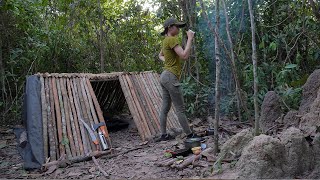 Solo Overnight Building a Hillside Dug Out Shelter  Survival Overnight Trip in Forest [upl. by Milinda920]