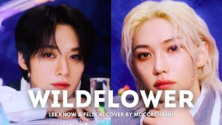 AI COVER Lee know amp Felix Wildflower by Billie Eilish  MoccaChann [upl. by Yelrac227]