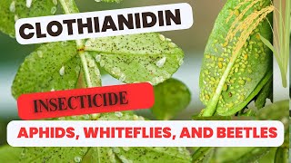 Clothianidin The Powerful Neonicotinoid Insecticide  Uses Mode of Action amp Benefits [upl. by Allcot]