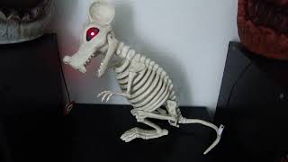 Seasons Halloween Skeleton Rat [upl. by Eigna]