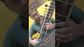 Bihag Practice on Sitar ramprapanna sitar surbahar SitarSurbahar IndianClassicalMusic Music [upl. by Aldin]