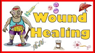 Wound Healing Mechanism Types Primary Secondary amp Tertiary intention of healing amp Complications [upl. by Eimoan]