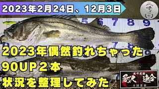 2023年偶然釣れちゃった90UP2本の状況を整理してみた／荒川／ランカー／シーバス釣り／湾奥／アイザー125F／スイッチヒッター85S [upl. by Schiro]