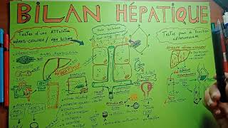 COMPRENDRE LE BILAN HÉPATIQUEparti1rappelle sur lhistologie et les principales fonctions du foie [upl. by Yticilef]