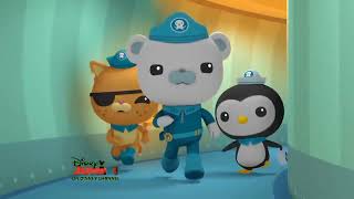 Octonauts Theme Song  Disney Junior US Airing [upl. by Alaikim]