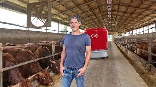 Lely Vector  Ingrassare i tori con lalimentazione automatica  IT [upl. by Dichy624]