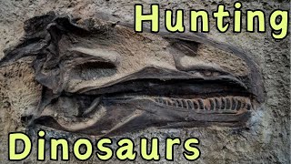 Finding Dinosaur Fossils In Rock [upl. by Decker]