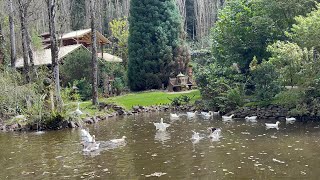 O JARDIM SECRETO DE URUBICI ELE ABANDONOU A CIDADE PRA VIVER NO SÃTIO [upl. by Saylor]