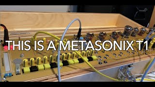 METASONIX T1  QUICK INTRO [upl. by Amero]