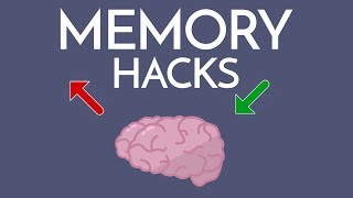 Most Effective Way to IMPROVE MEMORY amp Memorize ANYTHING [upl. by Nysila59]