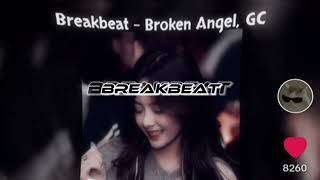 BREAKBEAT  BROKEN ANGEL GOLDEN CROWN  SLOWED  REVERB [upl. by Omarr]