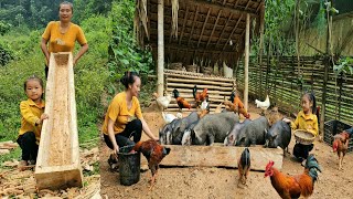 How to make a wooden pig feeder  Harvest vegetables to sell with daughter  TươnG Thị Mai [upl. by Starkey]