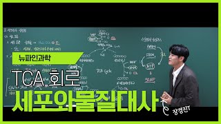 뉴파인과학 생명과학2 장경진T와 함께 세포 호흡 완벽 정리  TCA회로 이해하기 [upl. by Ainekahs]