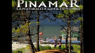 PINAMAR LA NATURALEZA LLEVA TU NOMBRE  DOCUMENTAL [upl. by Ssidnak]