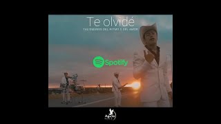 Te OlvidÃ©  Talismanes del ritmo y del amor VideoLyric Cumbia Tropical Ranchera 2022 [upl. by Llewon692]