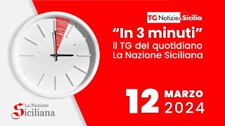 TG DEL 12 MARZO 2024  LA NAZIONE SICILIANA [upl. by Ydoj]