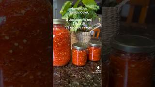 Homemade sambal Oelek easyrecipe food sambal chilisauce homemade homemadefood caramembuat [upl. by Htinnek114]