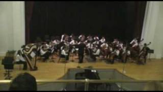 Concertino No 2 in G II Allegro by Carlo Ricciotti [upl. by Miharbi]