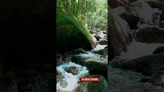 Reduce Stress With Babbling Brook Sounds naturesounds for sleeping  Full 10 Hour video [upl. by Taran]