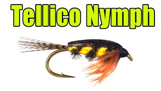 Tellico Nymph  Classic Vintage Fly Tying  Mike Stewart Fly Pattern [upl. by Georgie762]