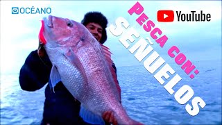 Pesca con señuelosCapturas extremas en ConilSamas y Corvinas XXXL [upl. by Comstock]