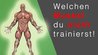 RUDERGERÄT TRAINING Dieser Muskel wird NICHT trainiert… OMG [upl. by Kcirde]