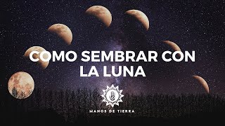 Como Sembrar Con LA LUNA 2024 cultivar con fases lunares calendario lunar [upl. by Milon601]