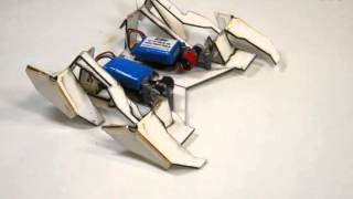 Robot Folds Itself and Walks Away [upl. by Marsiella]