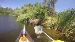 Horsethief Basin Canoe Electroshocking [upl. by Ecienaj]