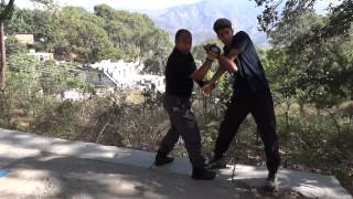 Shifu Kanishka demonstrating Jeet Kune Do [upl. by Intirb]