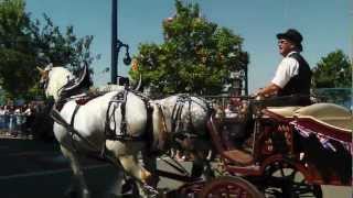 Vancouver Pride Parade 2012  part 1 [upl. by Nimaynib]