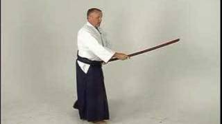 Aikido Sword Fighting KenGi One  Bokken Shomenuchi [upl. by Hcardahs]