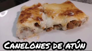 CANELONES DE ATUN [upl. by Einreb]